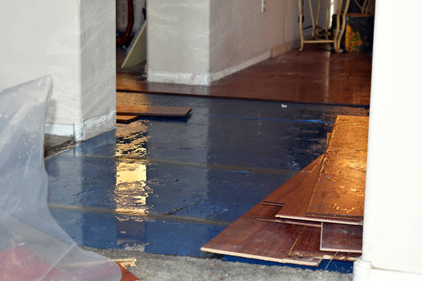 Professional Basement Flood Cleanup technician working in Bourneville, OH